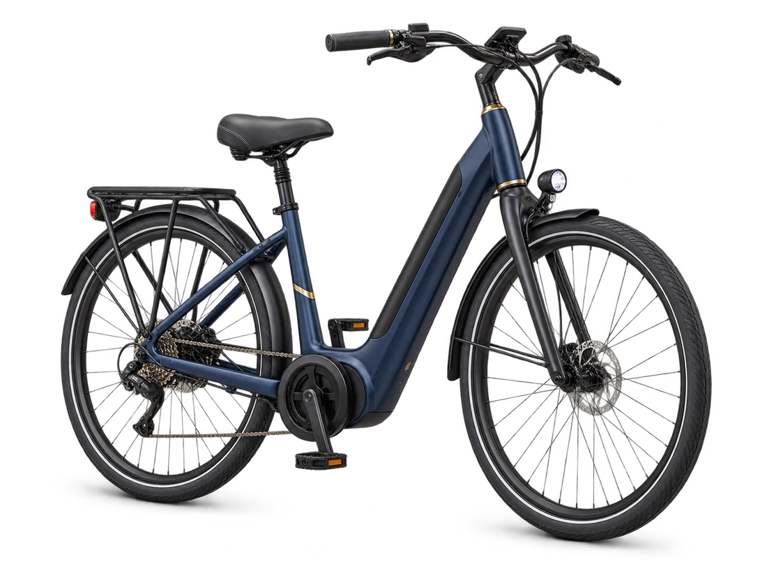 Electric cargo tricycle